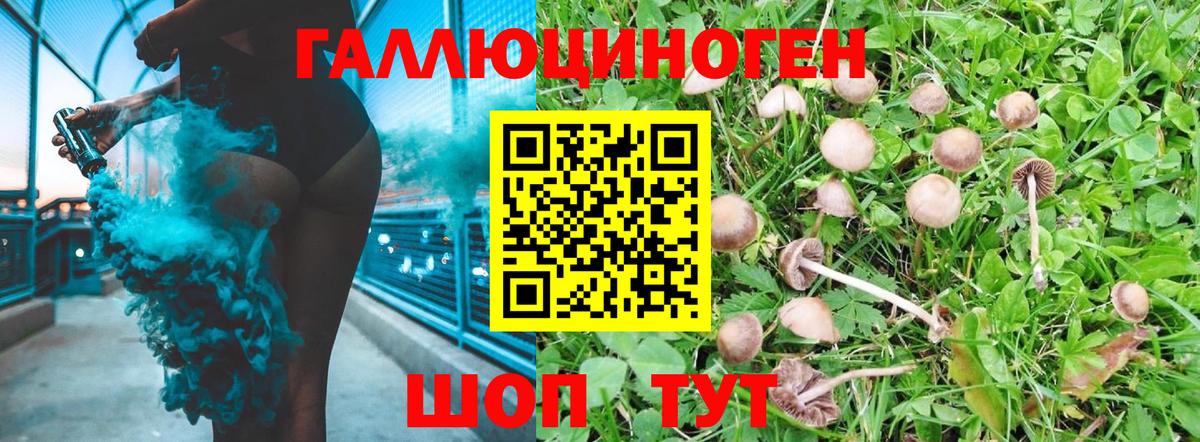 Галлюциногенные грибы мицелий Вышний Волочёк